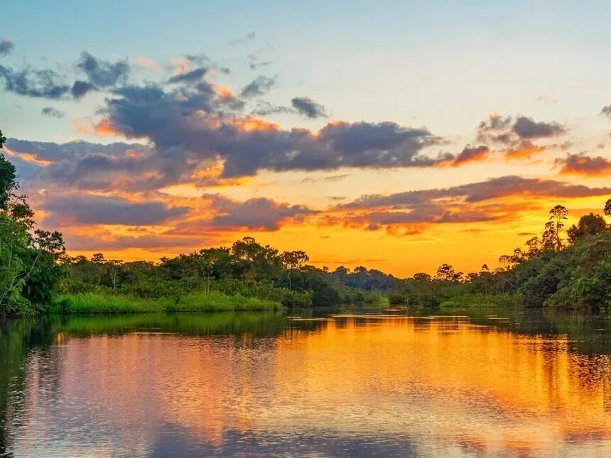Parque Nacional Manu