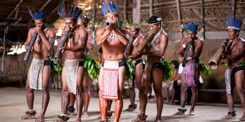 Qual é a visão de mundo da dança da anaconda