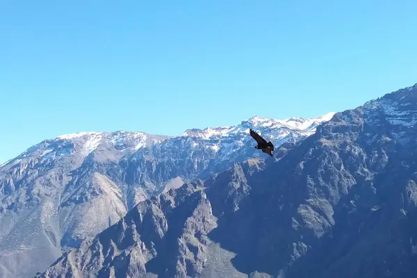 2 dias no cânion do colca
