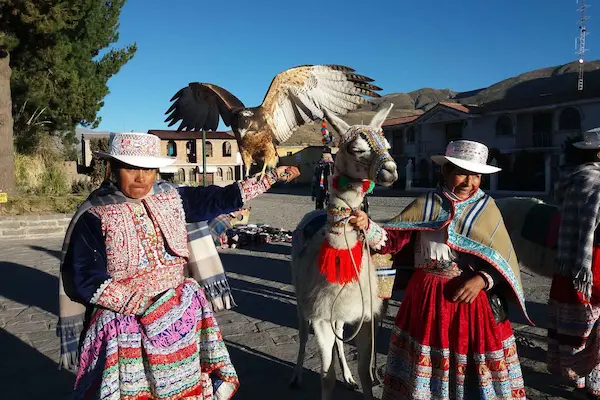 2 dias no cânion do colca tour