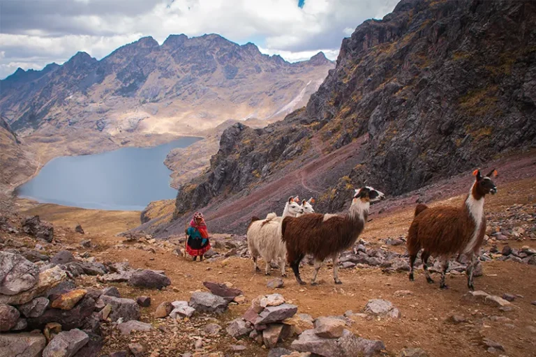 4 dias Trilha Lares e Trilha Inca Curta