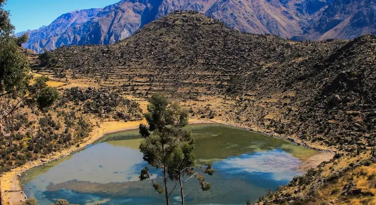 Passeio de dia inteiro ao Colca