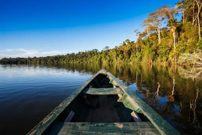 Trilha Inca e Selva Manu Amazônia