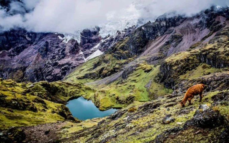 Trilha de Lares até Machu Picchu 4 dias