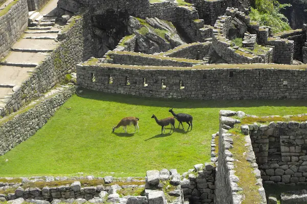 Vale Sagrado VIP com Machu Picchu