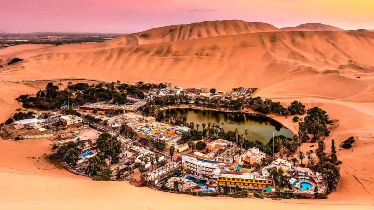 oásis de huacachina 1 dia à Ilha Ballestas
