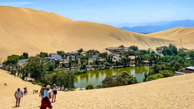 oásis de huacachina tour 1 dia à Ilha Ballestas