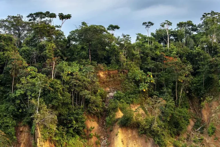 pacote Trilha Inca e Selva Manu 8 dias