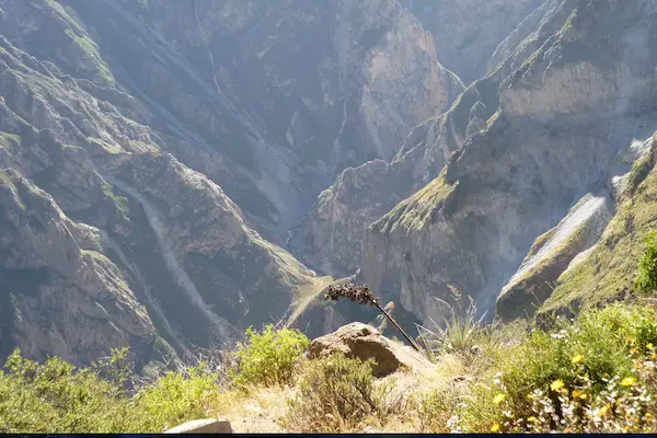 passeio cânion do colca 2 dias
