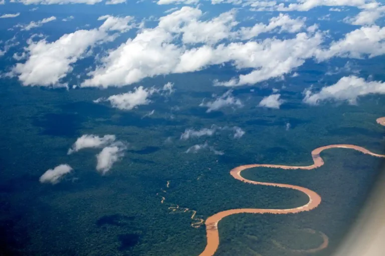 tambopata tour 3 dias