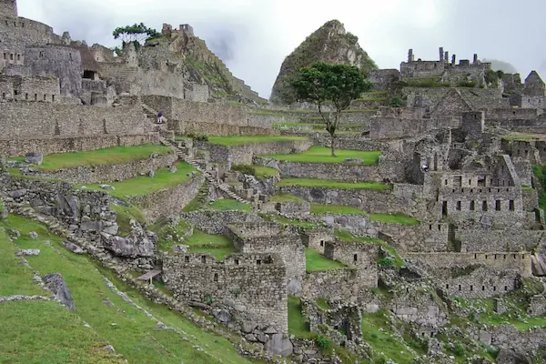 tour Viagem de trem para machu picchu de 1 dia