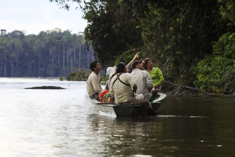 tour de 3 dias em Tambopata