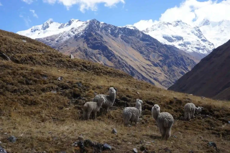 trilha em choquequirao 3 dias