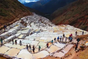 1 Dia de Piquenique e maras moray