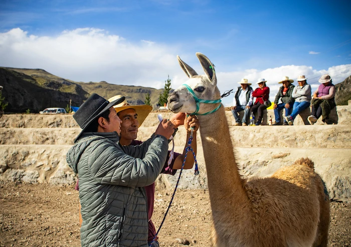 Coisas legais para fazer em Arequipa