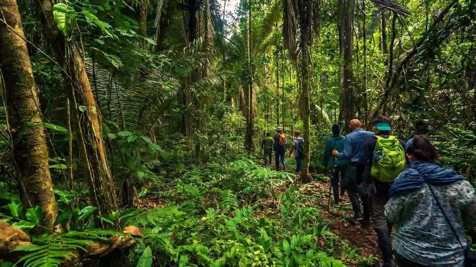 Passeios pelo Parque Nacional Manu peru