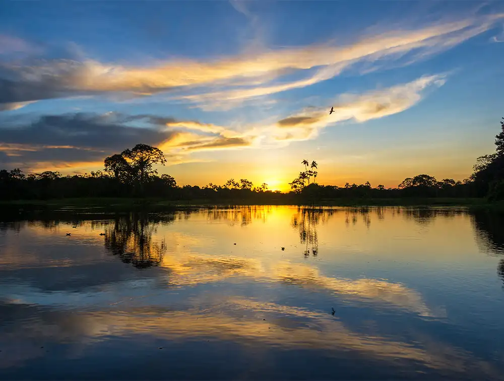 passeios em Tambopata