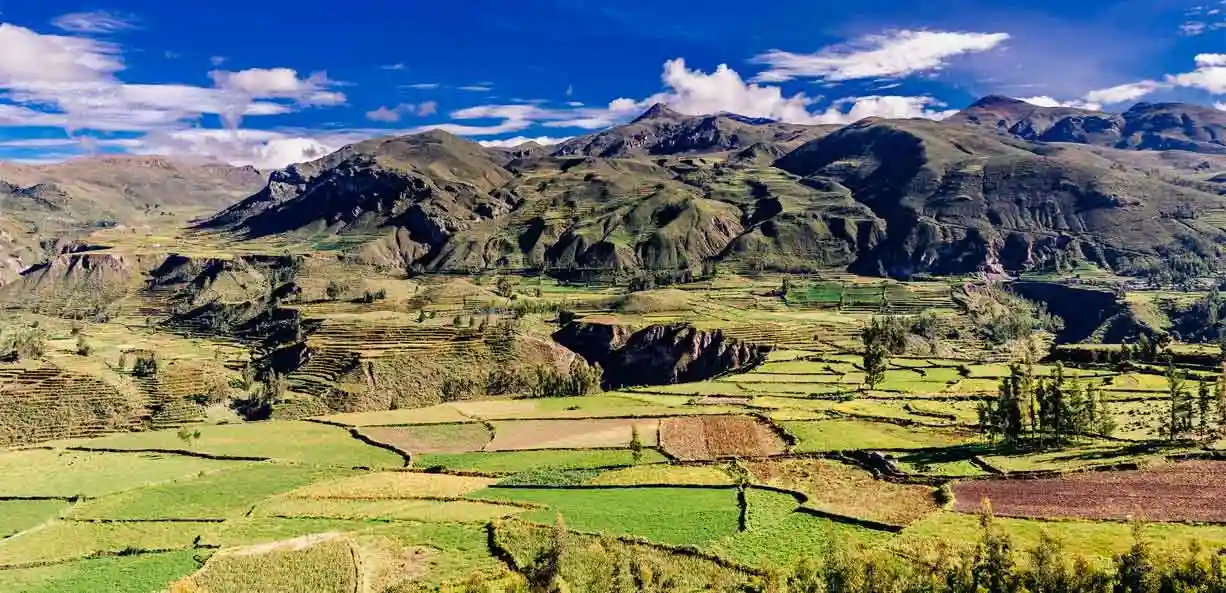 vale e cânion del colca passeios