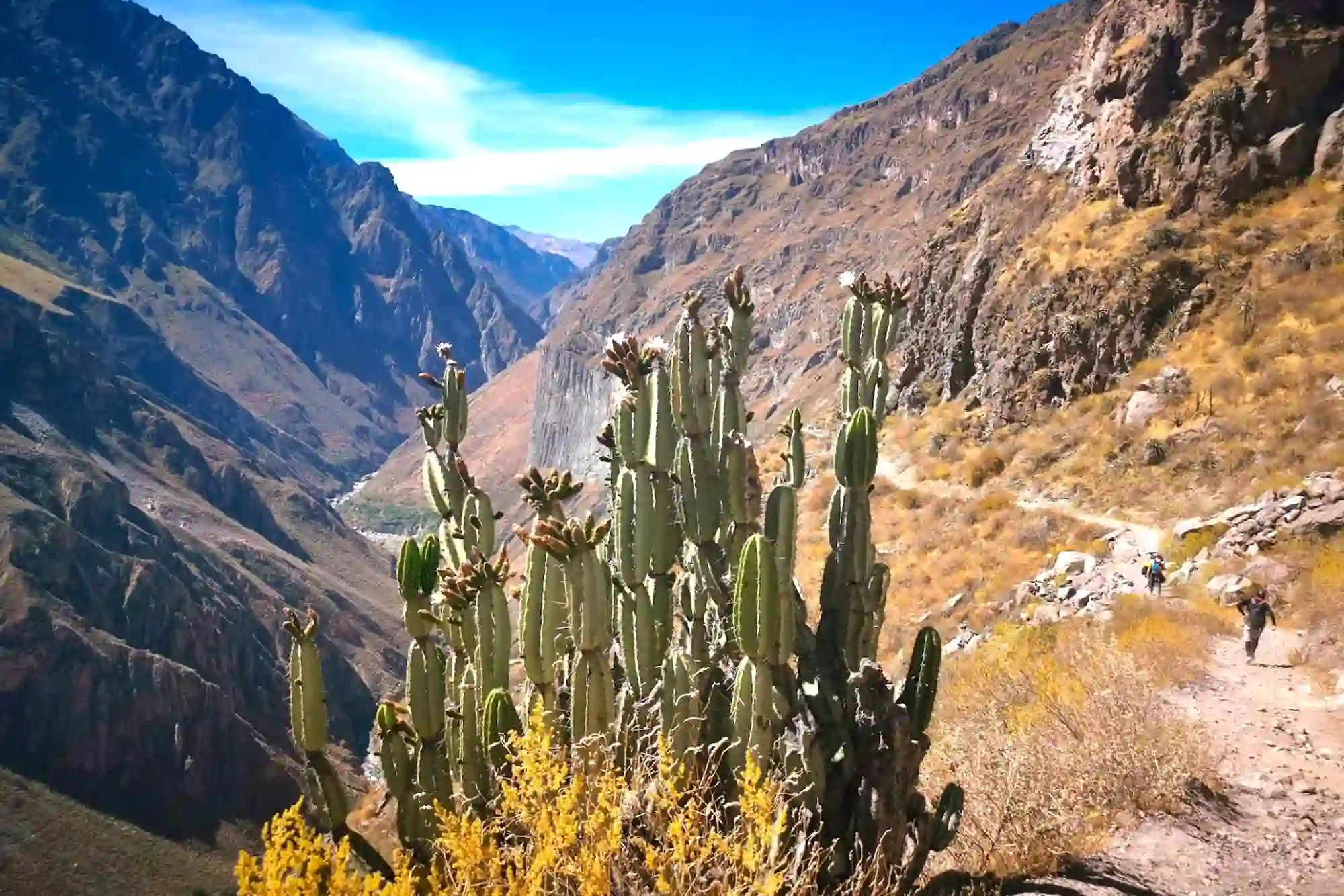 vale e cânion del colca tours