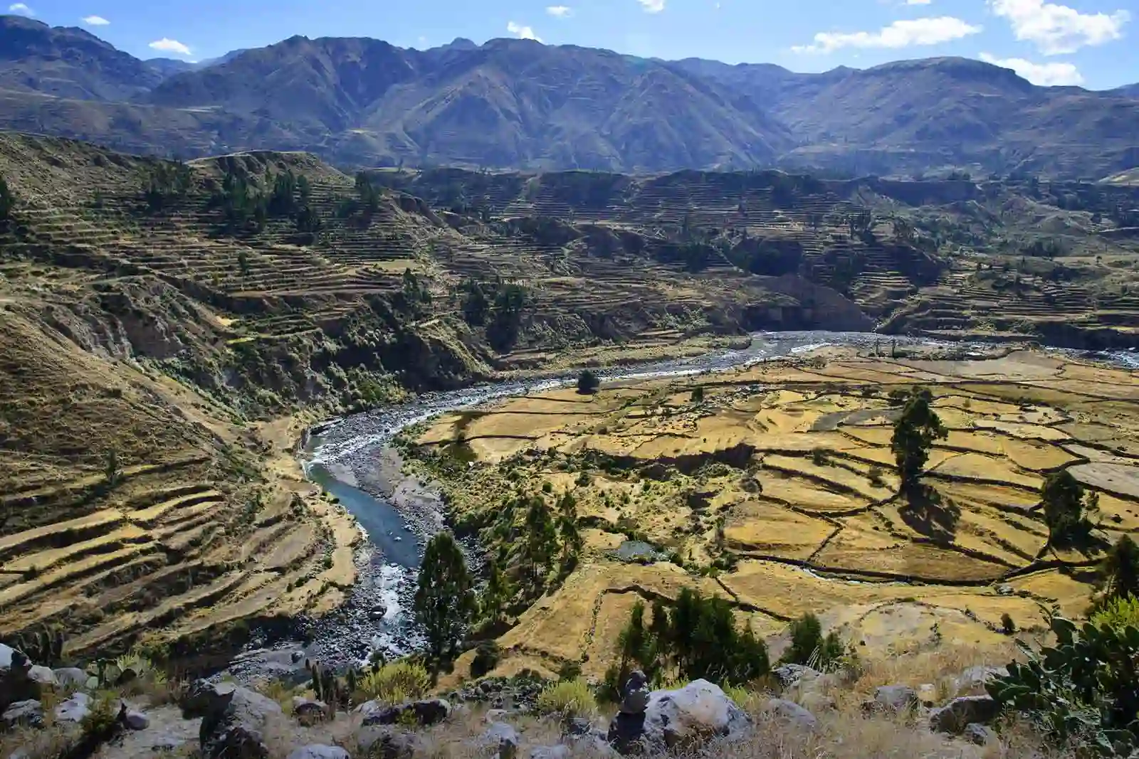 vale e cânion del colca