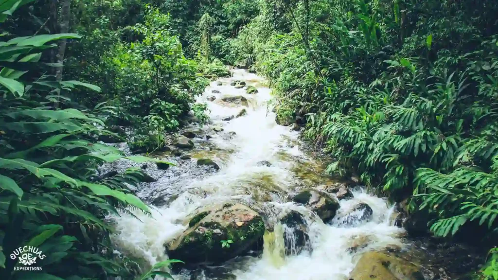 Melhor época para visitar cachoeiras no Peru