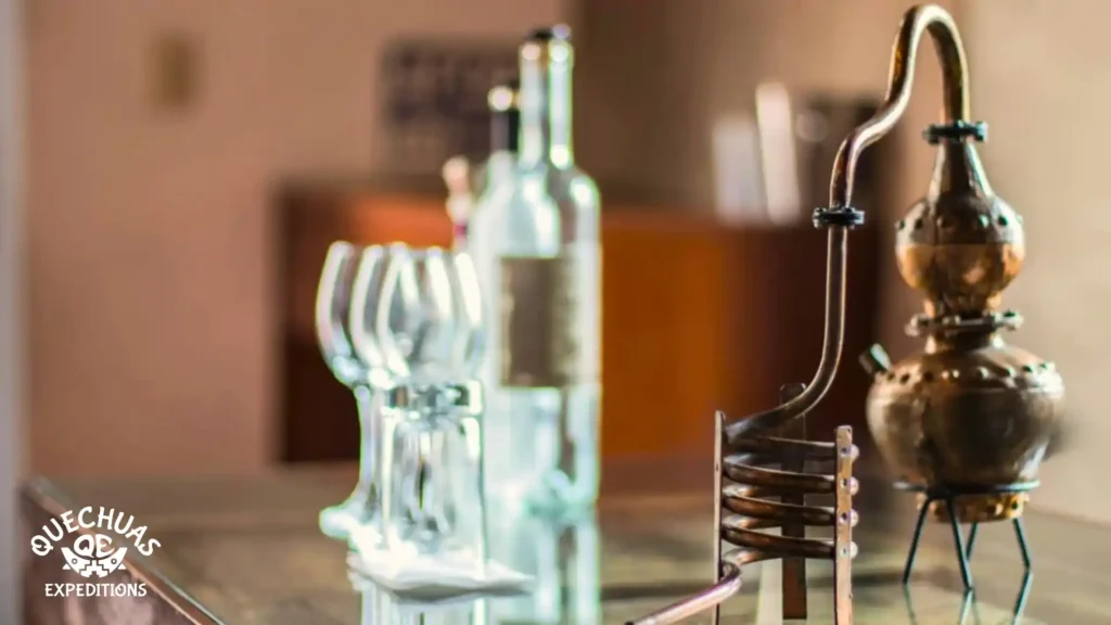 Etapas da produção do Pisco