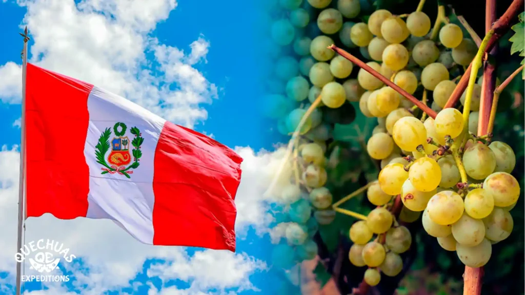 Pisco é considerado a bebida símbolo do Peru